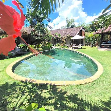 Villa Plawa Asri Семіньяк Екстер'єр фото